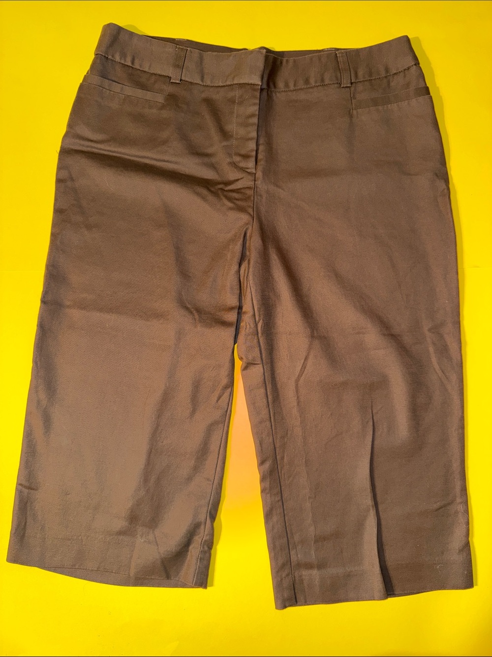 Counterparts Women's Brown Trouser Culottes NWOTGS Sz 14